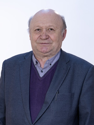 Демин Владимир Павлович Демин Владимир Павлович